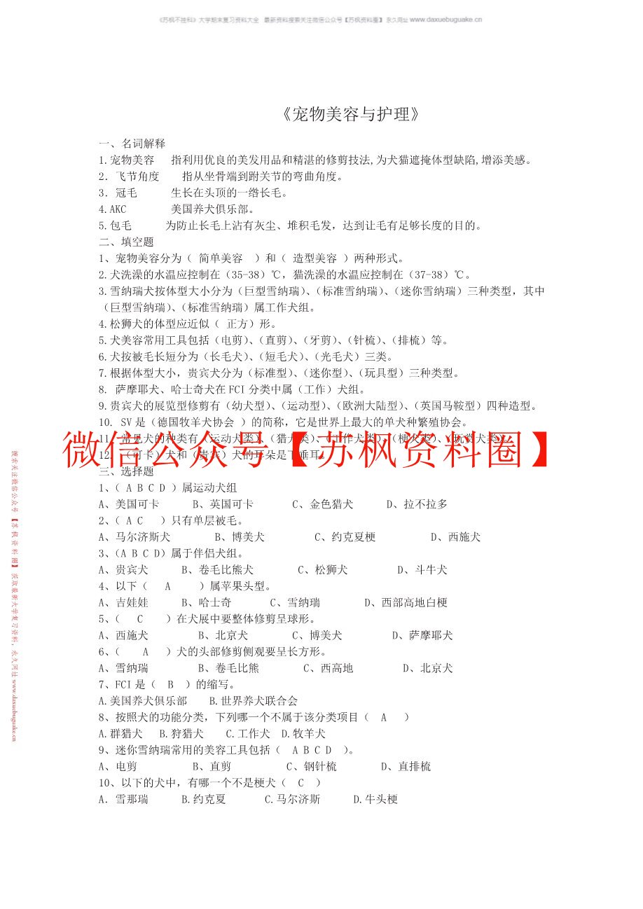 宠物美容
